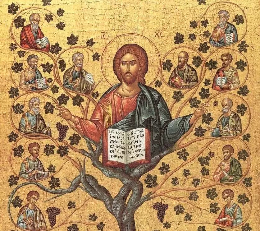 A Videira Verdadeira e o retorno à Árvore da Vida